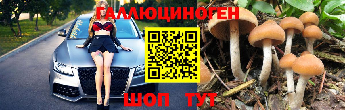 как найти наркотики  Вход с VPN  Тобольск  Псилоцибиновые грибы Cubensis 