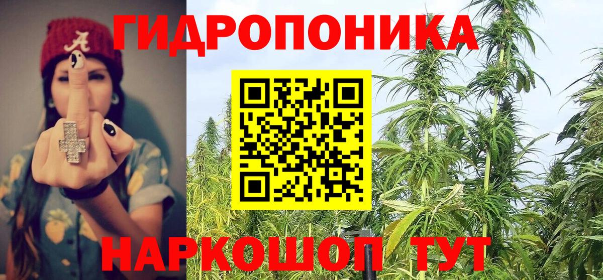 Каннабис конопля  Бошки марихуана LSD WEED  Вход с VPN  Бошки марихуана THC 21%  Тобольск 